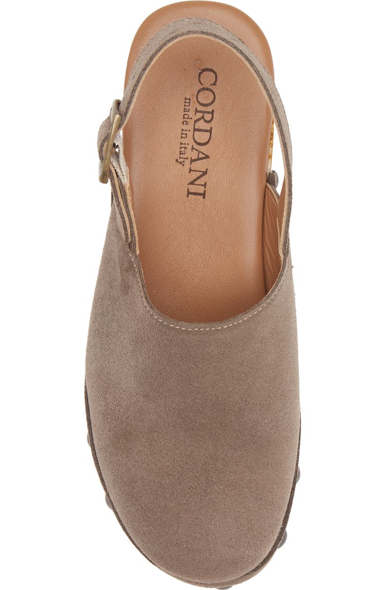Cordani Wilkes Platform Clog, Alternate, color, Fango Suede
