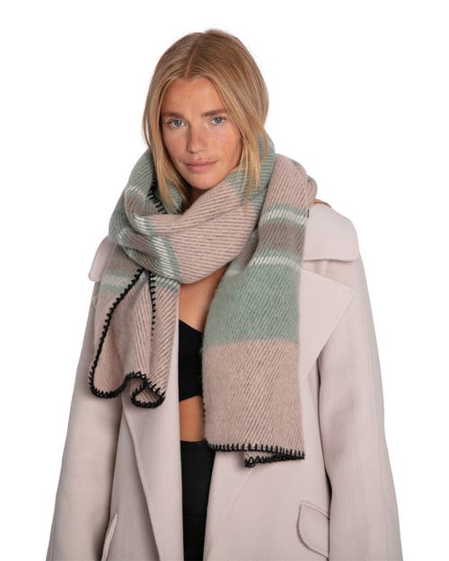 Belle & Bloom Wild Flower Scarf In Multi