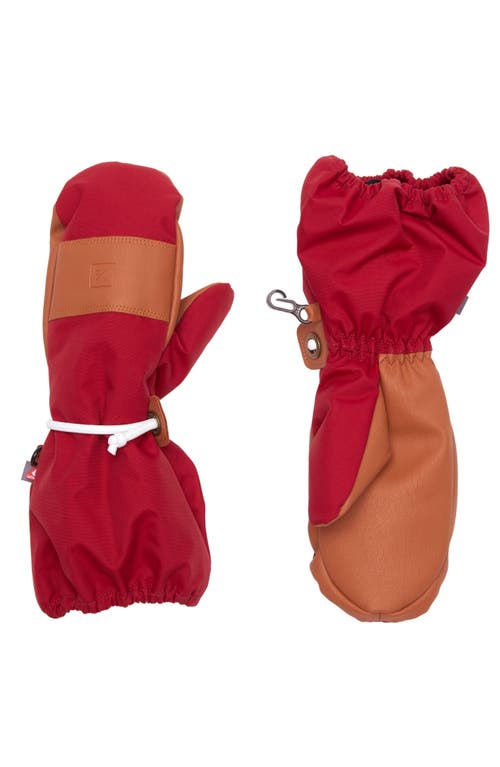 Northern Classics Waterproof Ski Mitten