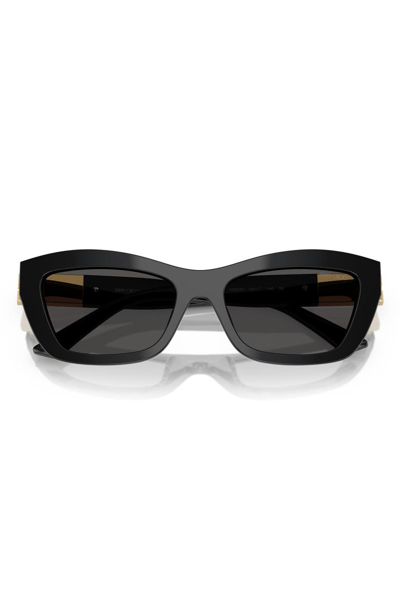 Jimmy Choo 54mm Cat Eye Sunglasses, Alternate, color, Black