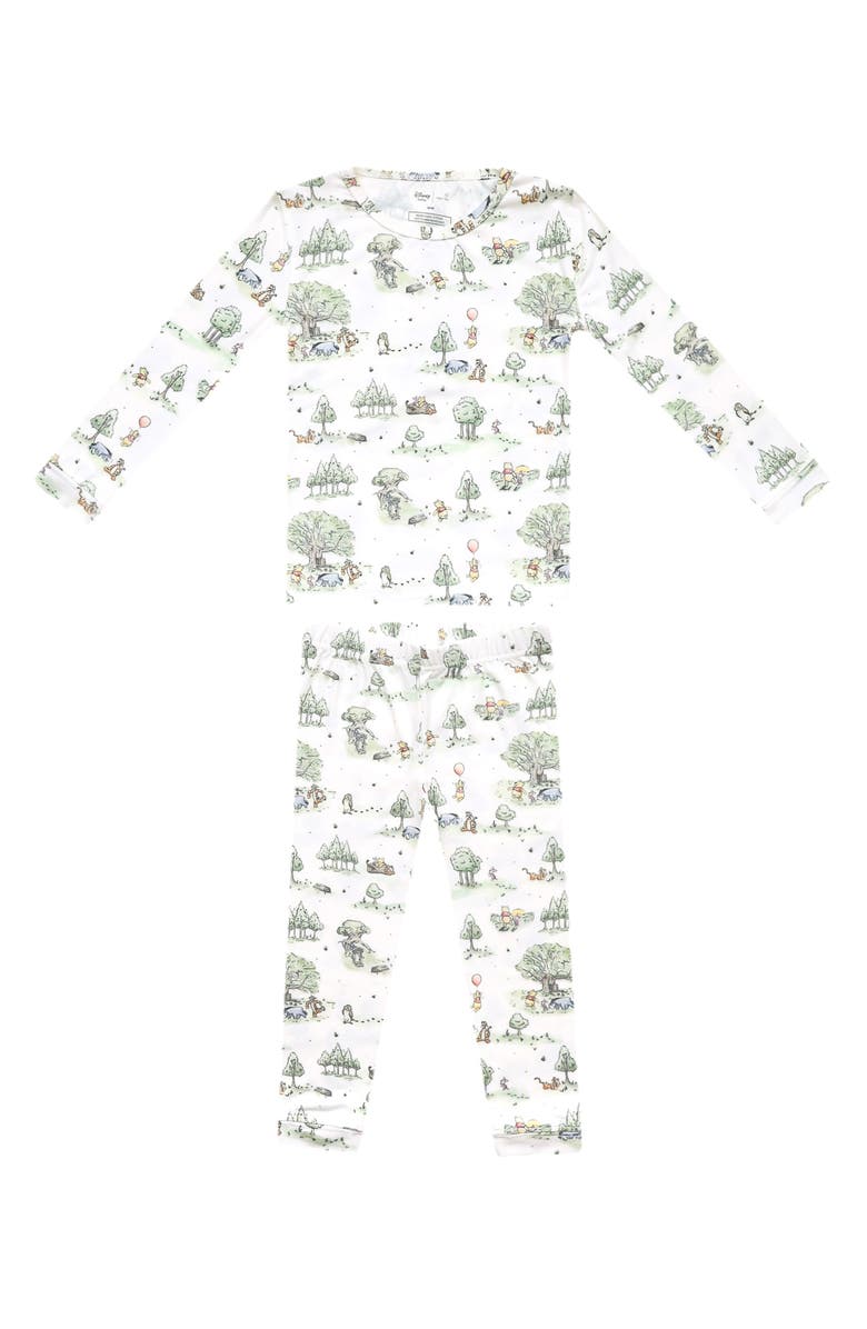 Copper Pearl Hundred Acre Woods Fitted Two-Piece Pajamas, Main, color, Hundred Acre Wood