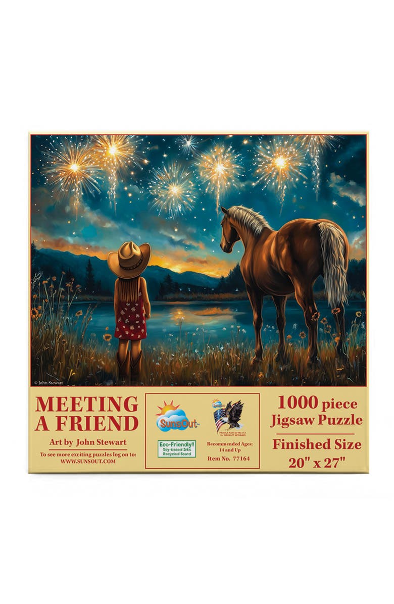 Sunsout Meeting a Friend 1000 piece Jigsaw Puzzle for Adults, Alternate, color, Multicolor