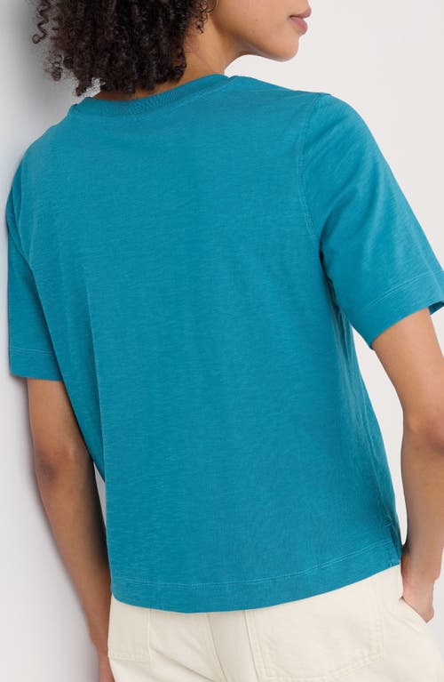 Seasalt Cornwall Copseland Organic Cotton T-shirt In Dark Briney