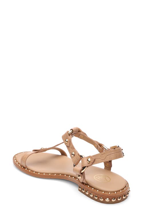 Ash Crocodile Print Sandal With Studs In Sand
