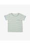selected Butter Stripe