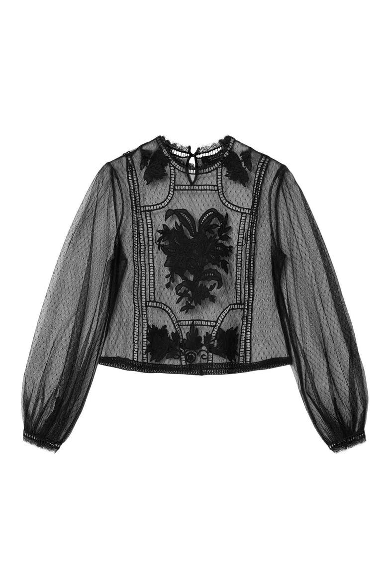 Cesca Embroidered Sheer Mock Neck Top, Alternate, color, BLACK