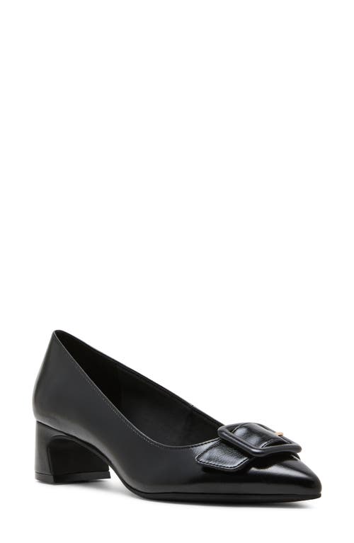 Anne Klein Senara Buckle Pointed Toe Pump In Black
