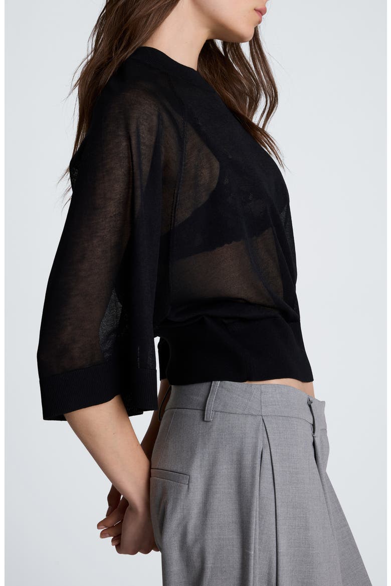 Raglan Sleeve Crewneck Sweater, Alternate, color, BLACK