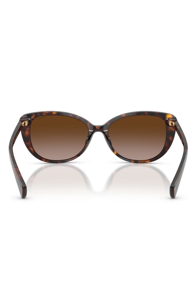 Ralph Lauren 56mm Gradient Butterfly Sunglasses, Alternate, color, Shiny Dark Havana / Brown