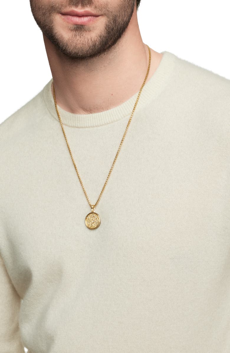 David Yurman Life & Death Amulet in 18K Yellow Gold, Alternate, color, 18K Yellow Gold