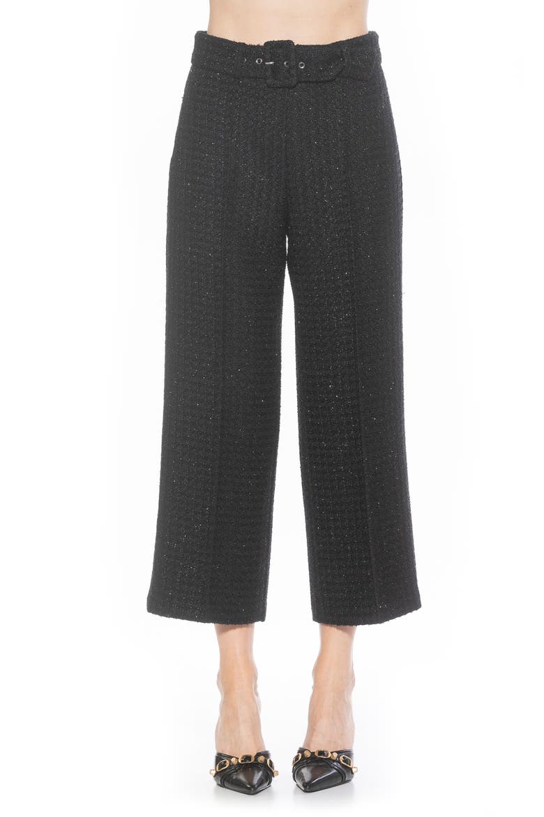 Caden Tweed Wide Leg Pants, Main, color, BLACK