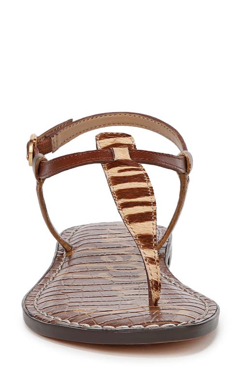 Sam Edelman Gigi Thong Sandal Beechwood Multi Leather In Beechwood Multi Calf Hair