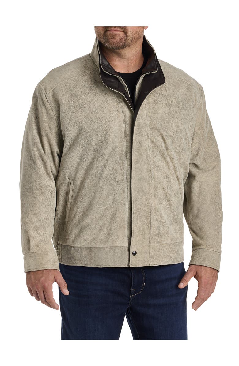 Remy Big & Tall Double-Collar Diego Leather Jacket, Alternate, color, Grey