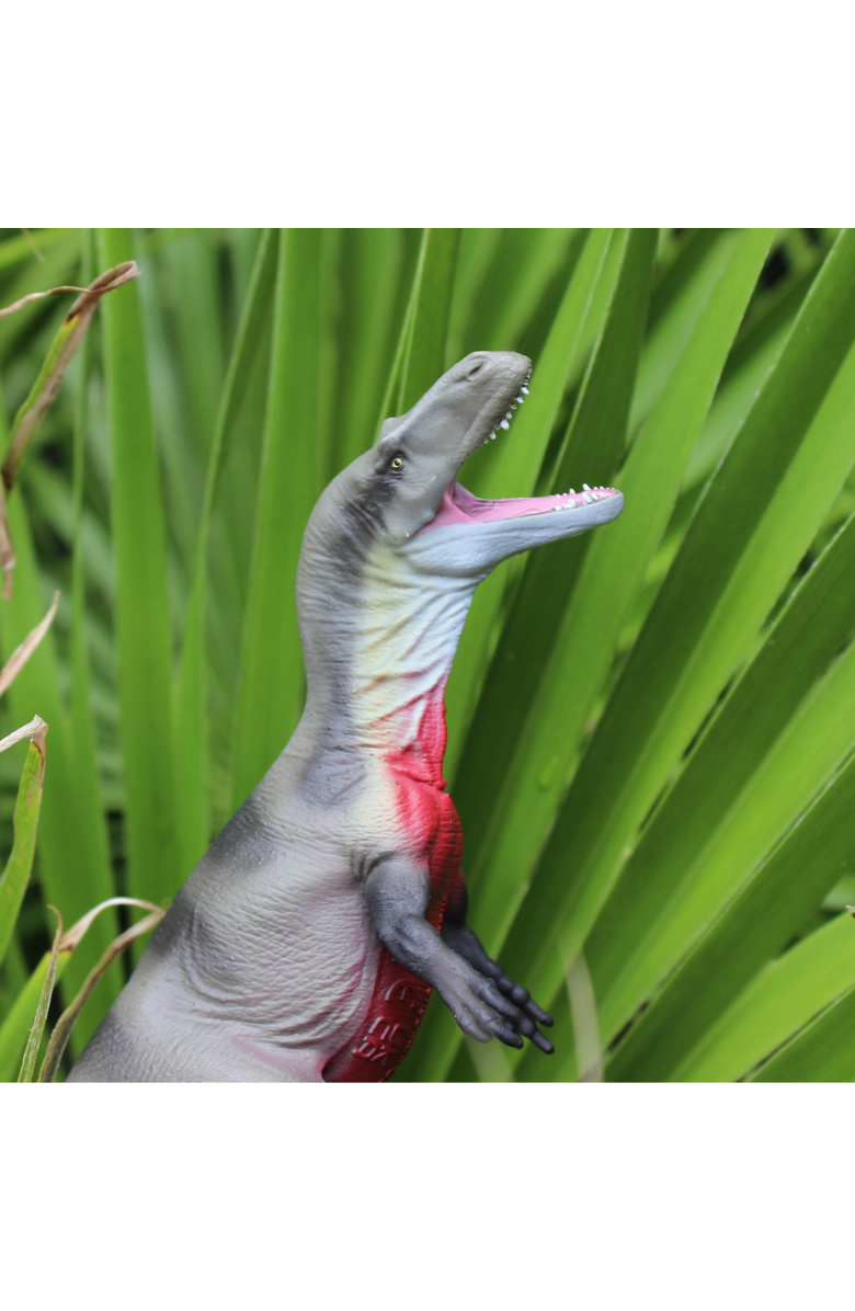 Safari Ltd. Megalosaurus Toy, Alternate, color, NO COLOR