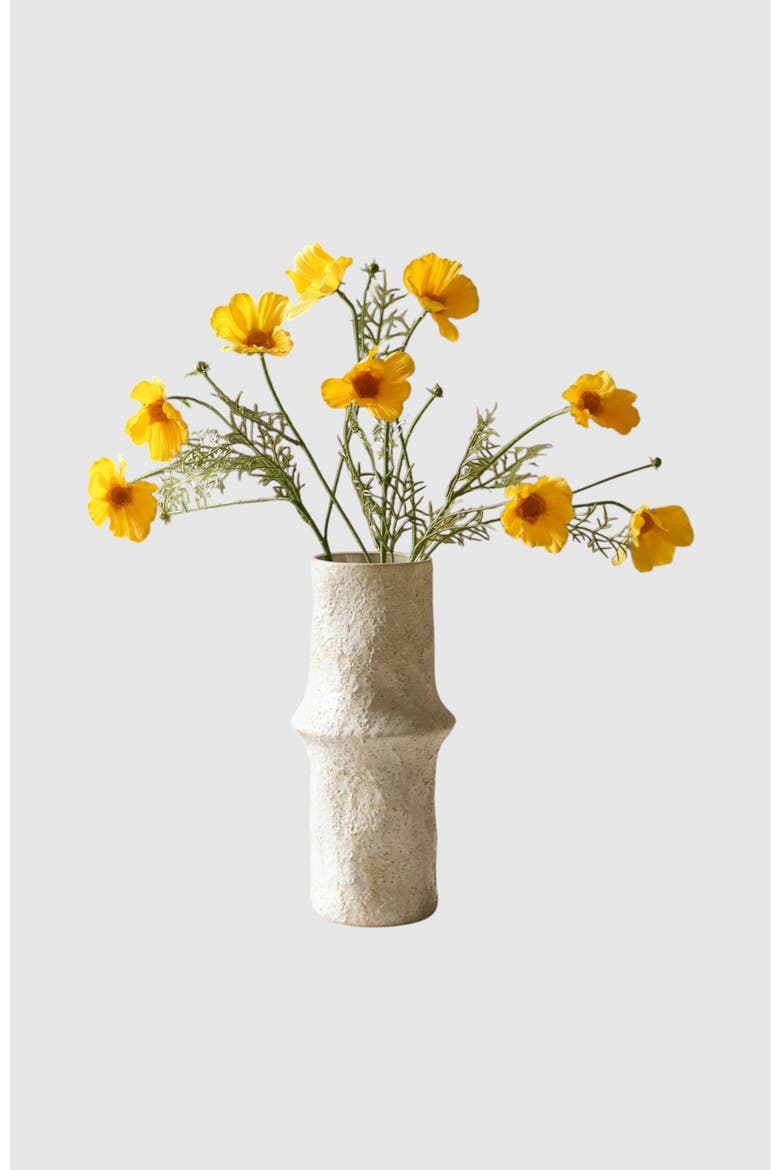 Yellow Cosmo Daisy Flower, Alternate, color, Yellow