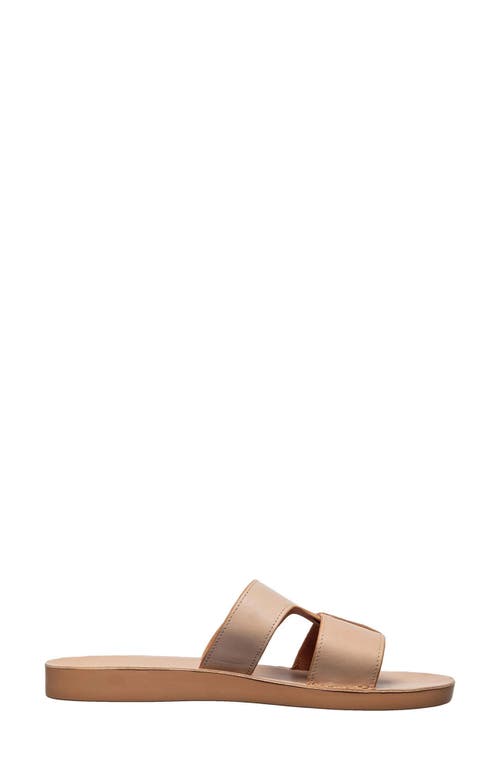 Antelope Alexis Slide Sandal In Animal Print