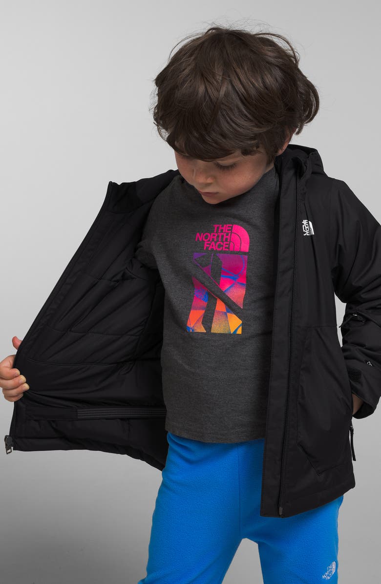 The North Face Kids' Freedom Insulated Waterproof Hooded Jacket, Alternate, color, 