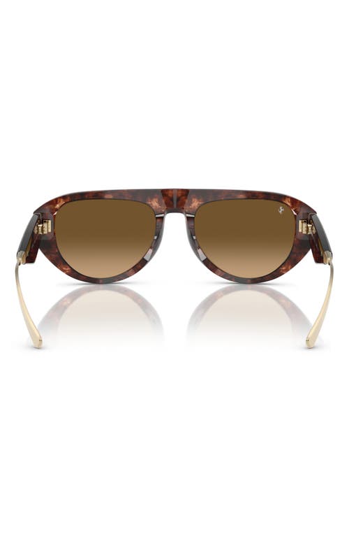 Scuderia Ferrari 55mm Pilot Sunglasses In Brown
