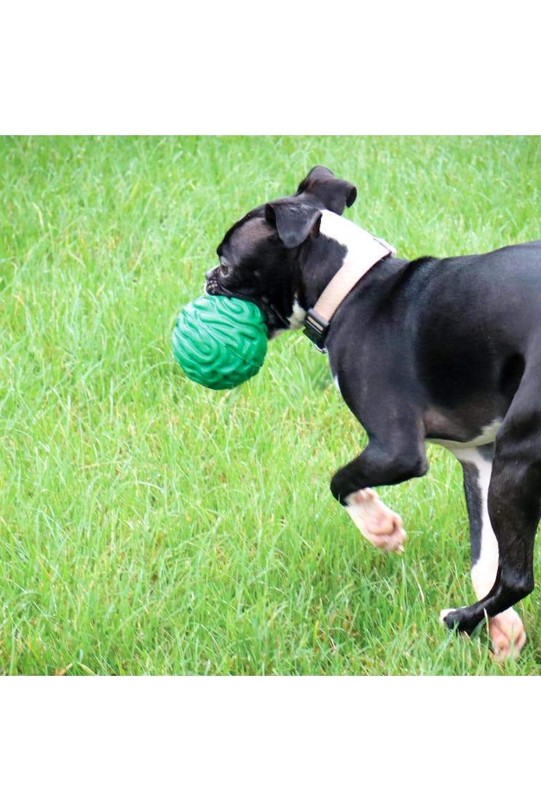 Luna Ball, 4 Inches, Large, Green, Dog & Puppy Toy, Alternate, color, Green