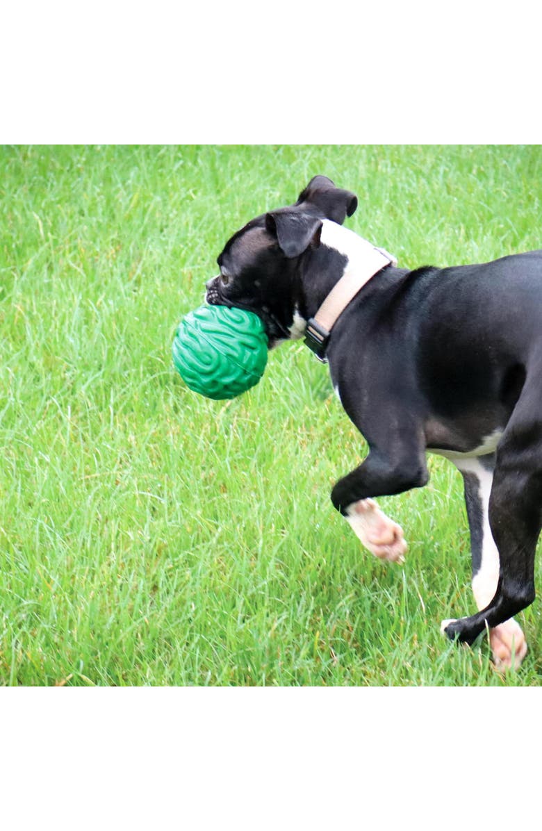 PetKORE Luna Ball, 4 Inches, Large, Green, Dog & Puppy Toy, Alternate, color, Green