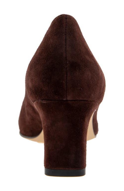 Andre Assous André Assous Wynne Pointed Toe Pump In Cocoa Powder