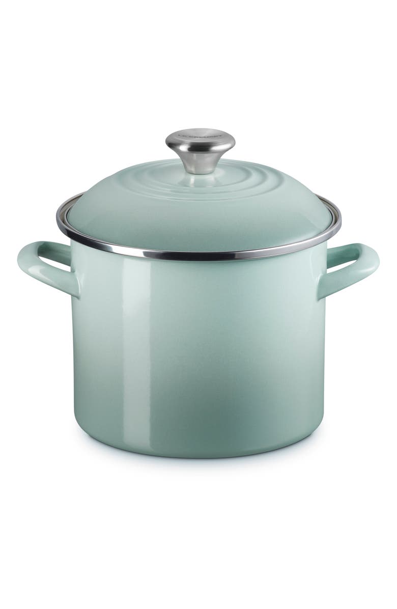 Le Creuset 6-Quart Enameled Stainless Steel Stock Pot, Alternate, color, Sea Salt