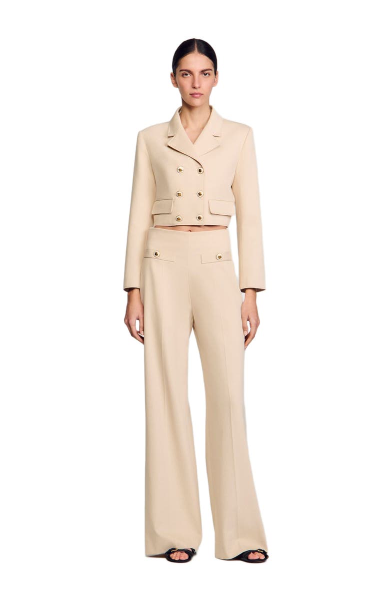 SANDRO Suit trousers, Alternate, color, 