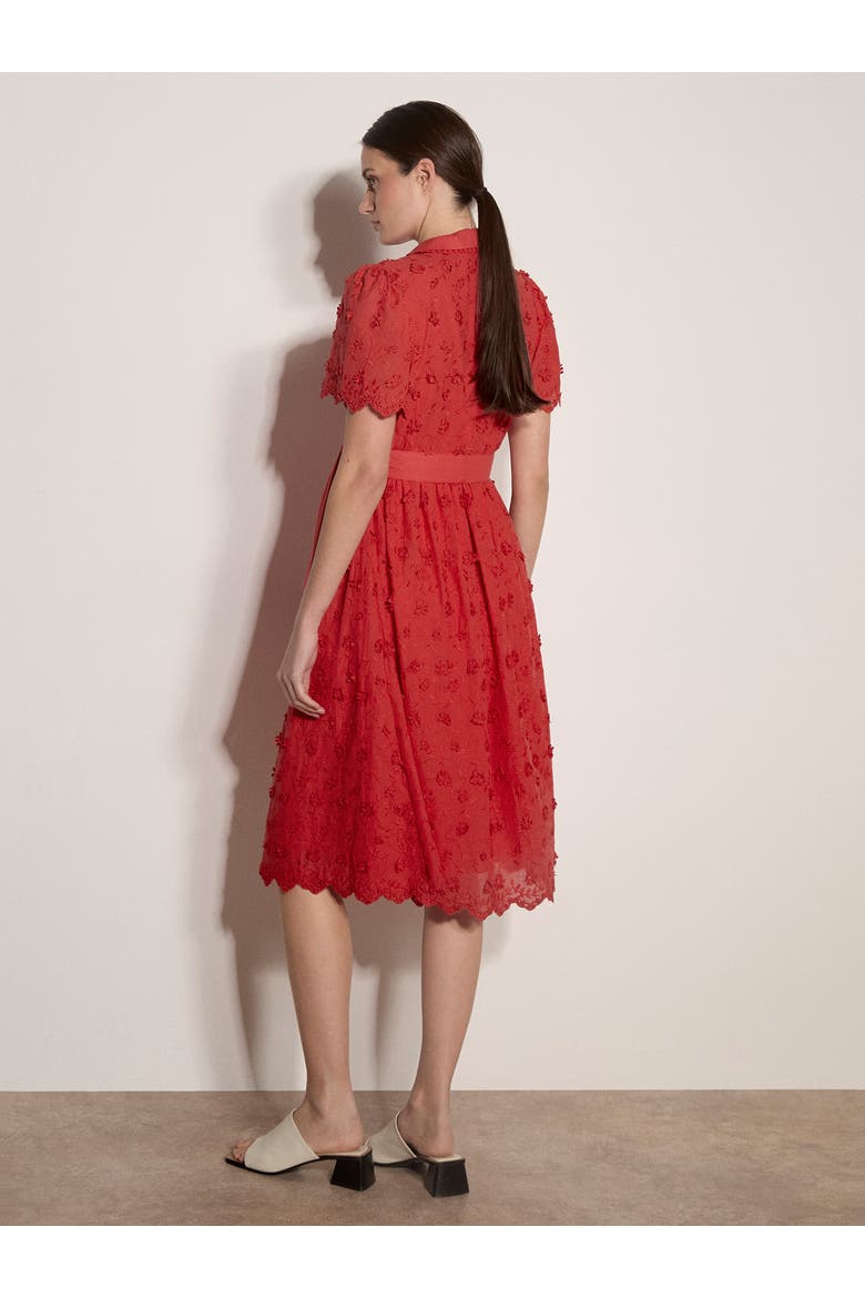3d Embroidered Cotton Midi Dress, Alternate, color, Red