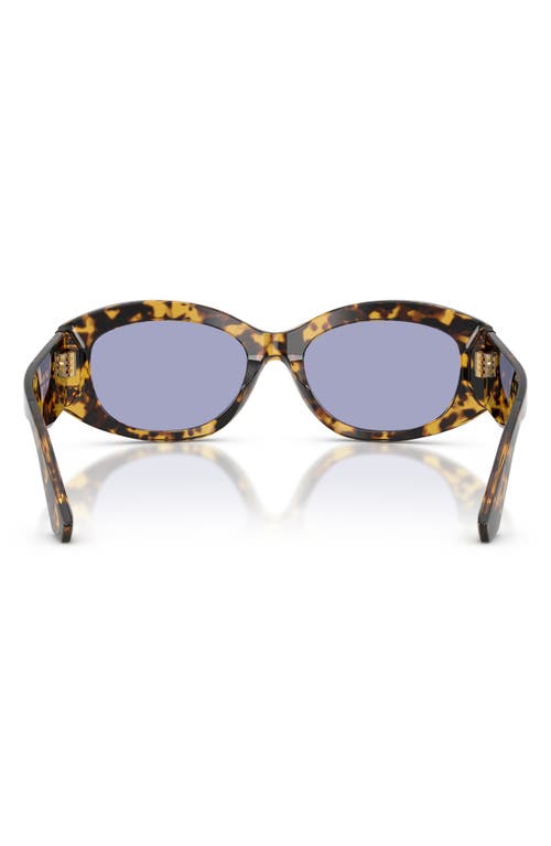 Dolce & Gabbana Womens Brown Dg4502 Oval-frame Acetate Sunglasses In Brown
