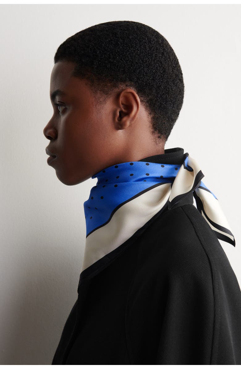 COS Polka-Dot Silk Scarf, Alternate, color, Blue / Cream / Polka Dot
