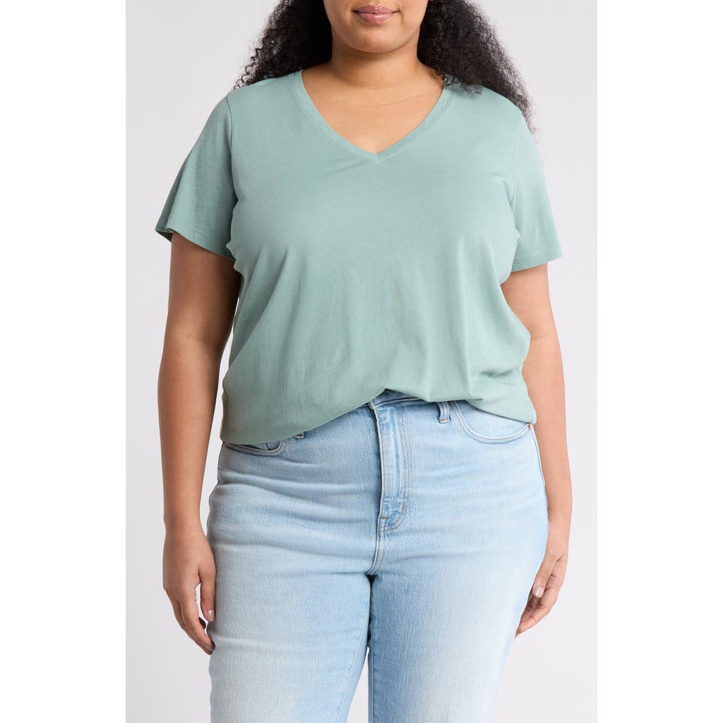 Madewell Soft Fade Cotton T-shirt In Pale Eucalyptus