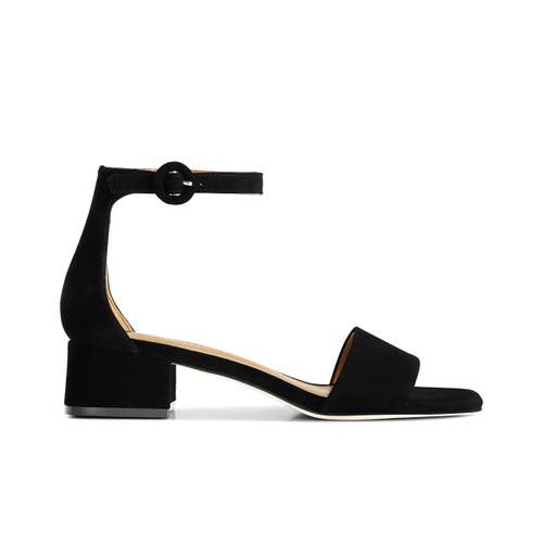 Shop Bernardo Footwear Jalena Ankle Strap Sandal In Black
