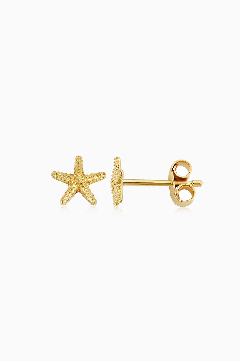 14K Yellow Gold Starfish Studs, Alternate, color, Yellow Gold