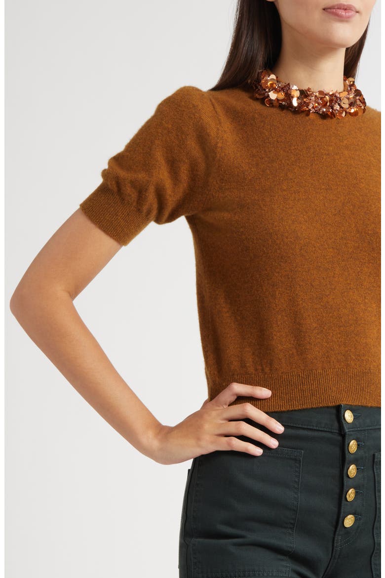 Crystal Collar Short Sleeve Cashmere Sweater, Alternate, color, UMBER