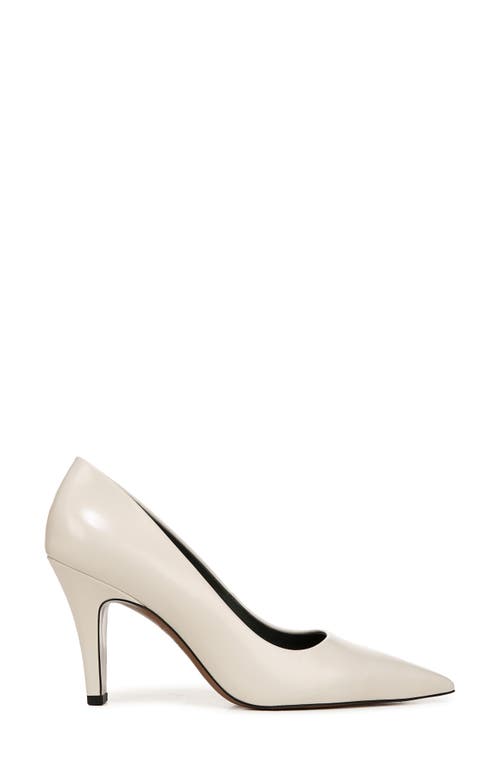 SARTO BY FRANCO SARTO SARTO BY FRANCO SARTO SAGE POINTED TOE PUMP 