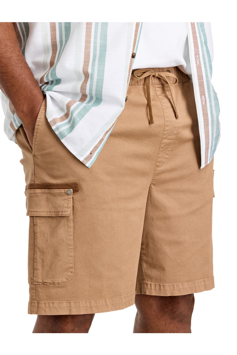 Big & Tall Athletic Fit Drawstring Cargo Shorts, Alternate, color, PORTABELLA