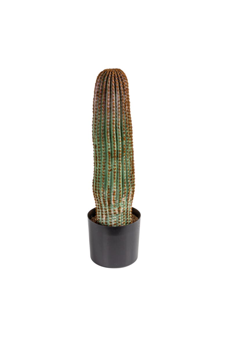 Round Faux Vatricania Cactus in Plastic Pot, Green, Main, color, Green
