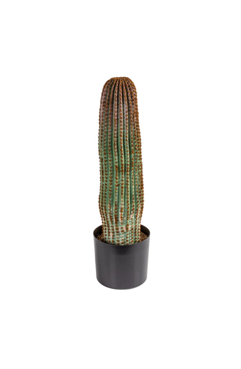 Storied Home Round Faux Vatricania Cactus in Plastic Pot, Green, Main, color, Green