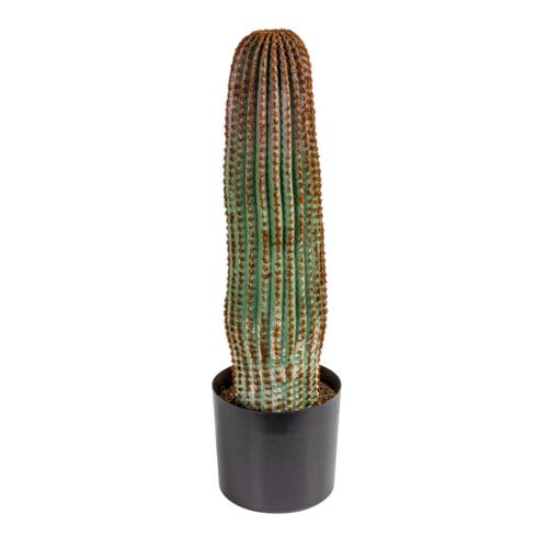Storied Home Round Faux Vatricania Cactus In Multi