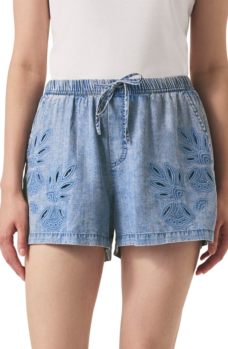 Splendid Cayden Embroidered Chambray Drawstring Shorts, Alternate, color,