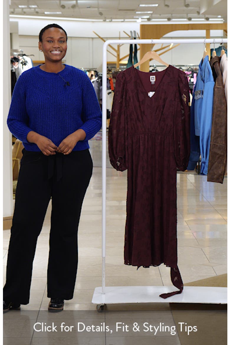 Floral Appliqué Long Sleeve Dress video