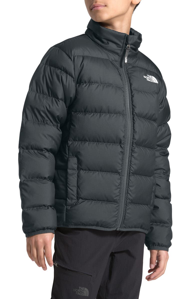 The North Face Andes Water Repellent 550-Fill Power Down Jacket, Alternate, color, 