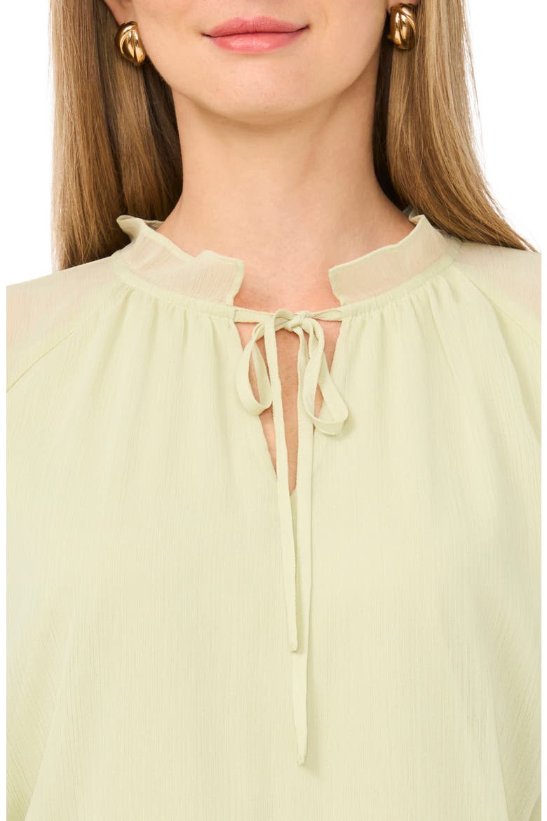 Split Neck Raglan Sleeve Top, Alternate, color, LILY GREEN