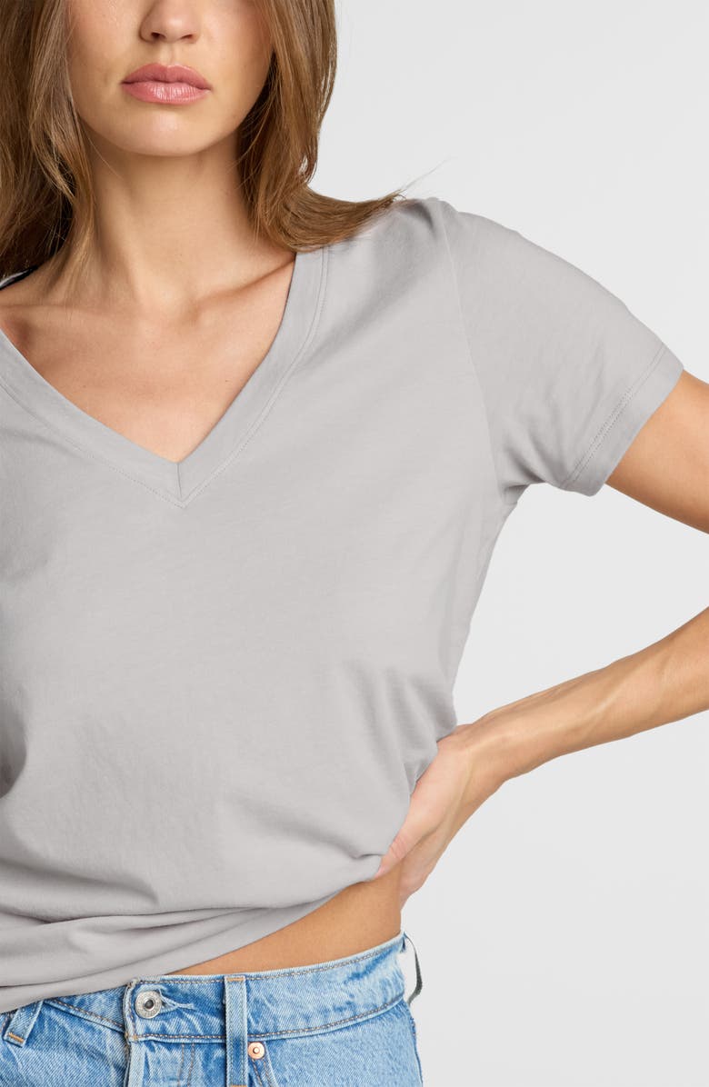 The Standard Stitch The Organic Cotton V-Neck Tee, Alternate, color, Oyster