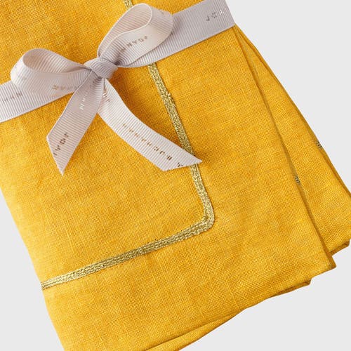 Joanna Buchanan Linen Dinner Napkins 2-piece Set
