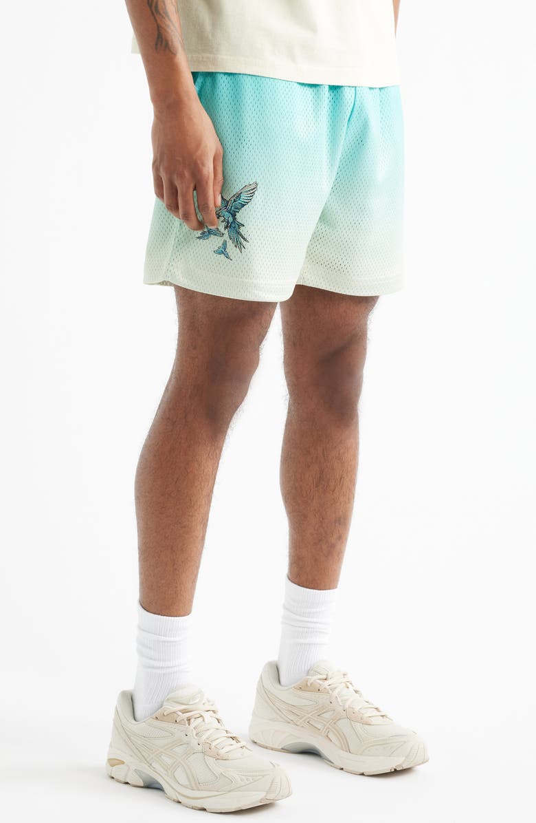 OVERTIME Summer Mesh Shorts, Alternate, color, Blue