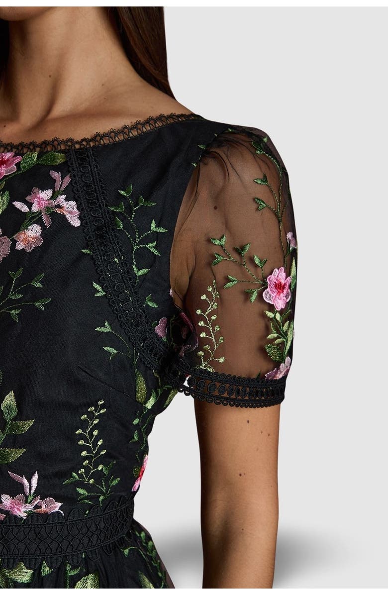 Coast Lace Trim Embroidered Mesh Midi Dress, Alternate, color, Black