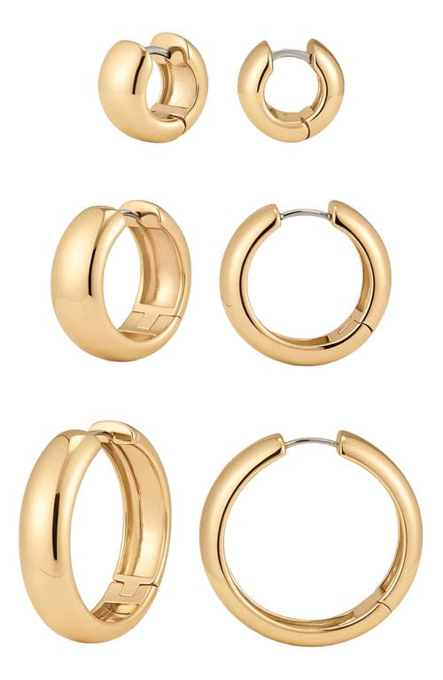 Made By Mary Sol Hoop Earrings In Gold