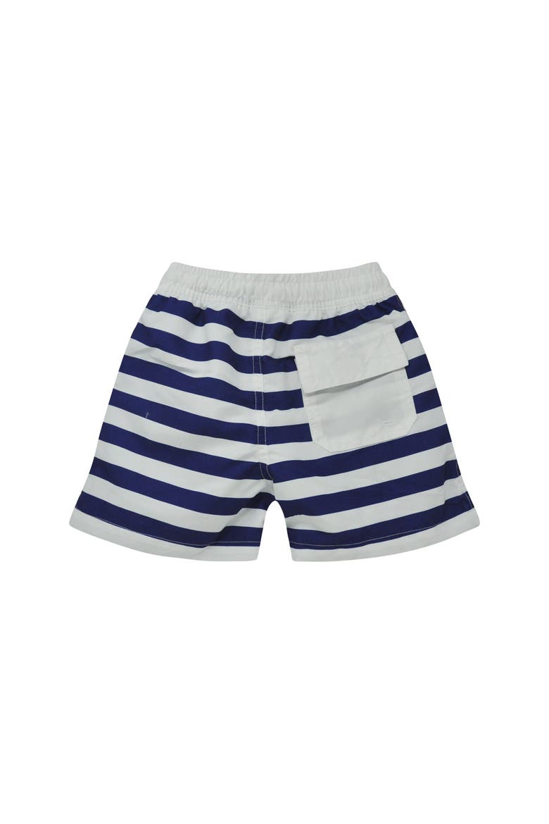 Boys UPF 50+ Wesley Swim Trunks with Mesh Liner, Alternate, color, Cabana Stripe