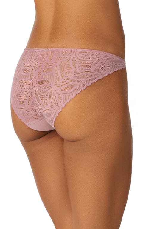 Dkny Deco Lace Bikini Cut Briefs In Lilas